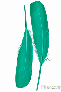Schwan Seide - 25-30 cm - smaragd